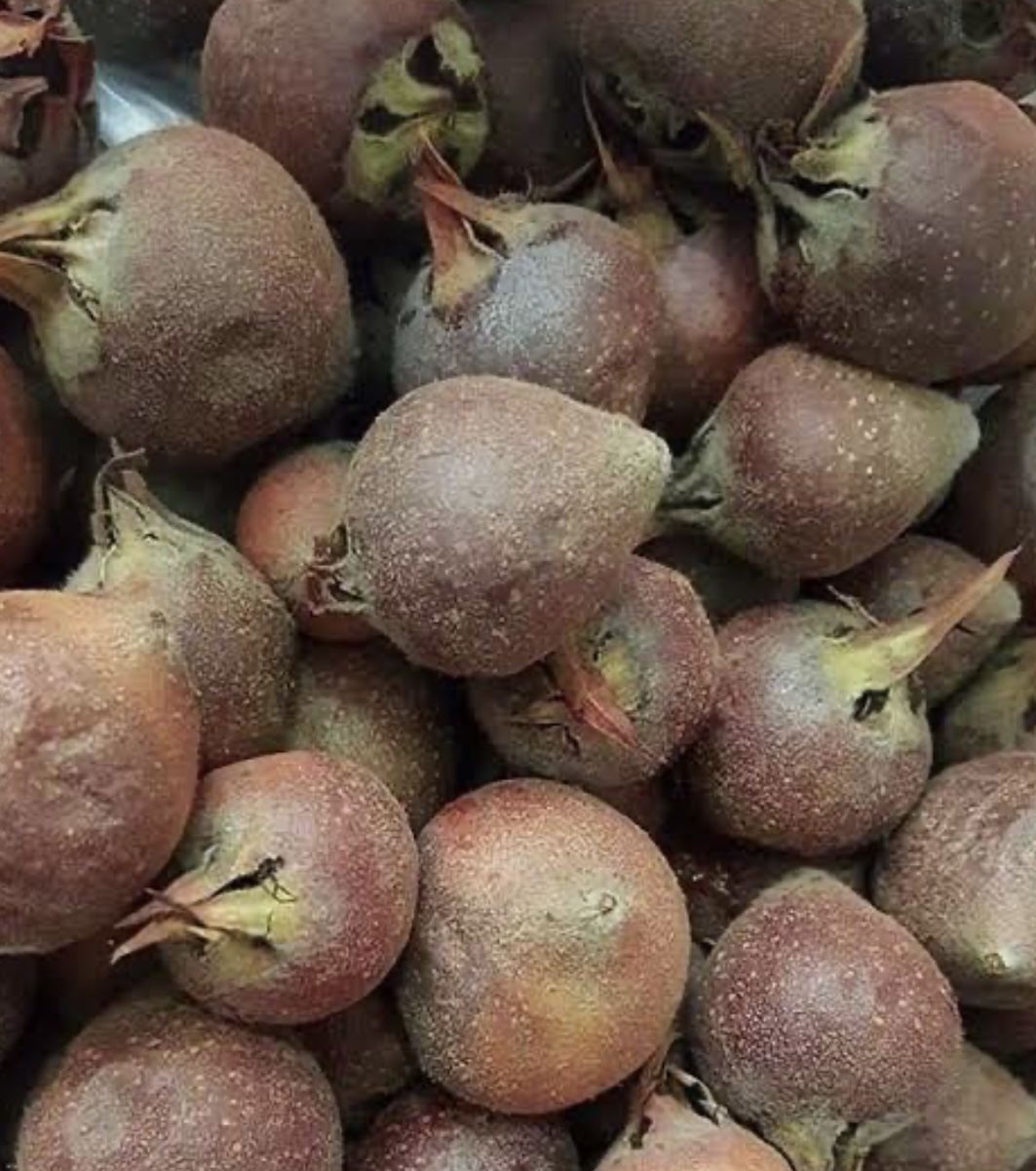 Organik Beşbıyık Muşmula 1 kg